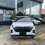 Hình ảnh xe Hyundai Custin màu trắng (bản cao cấp)